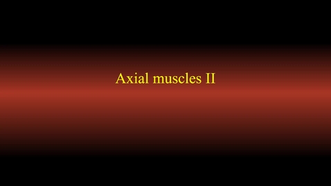 Thumbnail for entry Muscle actions (axis 2)