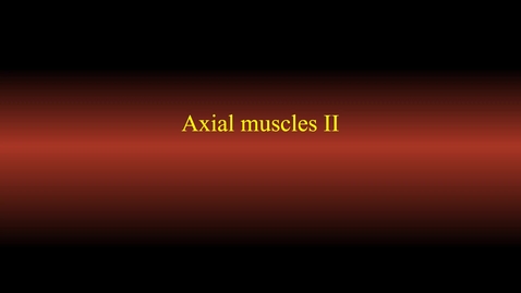 Thumbnail for Muscle actions (axis 2)
