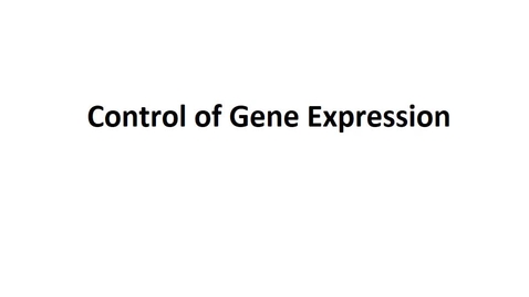 Thumbnail for entry BTNY 3303 - Control of Gene Expression - Part 1 - March 23, 2022