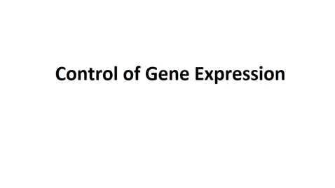 Thumbnail for BTNY 3303 - Control of Gene Expression - Part 1 - March 23, 2022