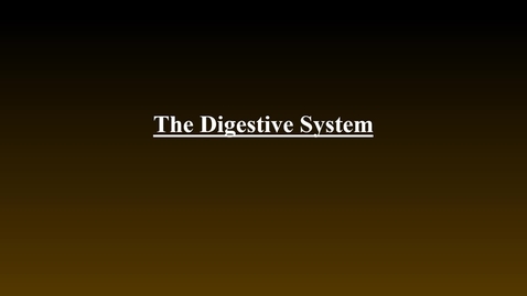 Thumbnail for entry Digestive System (hybrid)