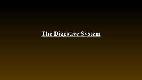 Thumbnail for Digestive System (hybrid)