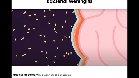Thumbnail for entry MICR1153_11-24_Meningitis_Twing