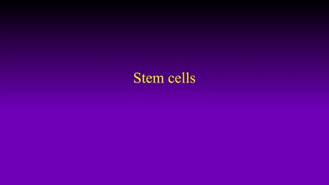 Thumbnail for entry Stem cells hybrid (Fall 2022)