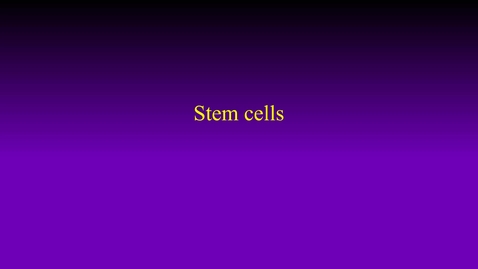 Thumbnail for Stem cells hybrid (Fall 2022)