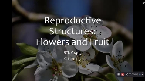 Thumbnail for 08- Reproductive Structures - part 1