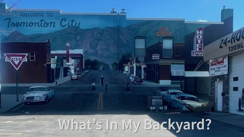 Thumbnail for What 's in my backyard