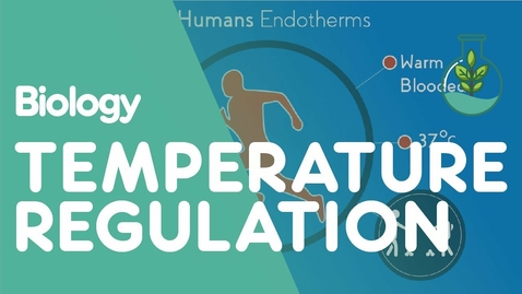 Thumbnail for entry HTHS 1110 F08-08: Temperature Regulation of the Human Body Video with Questions