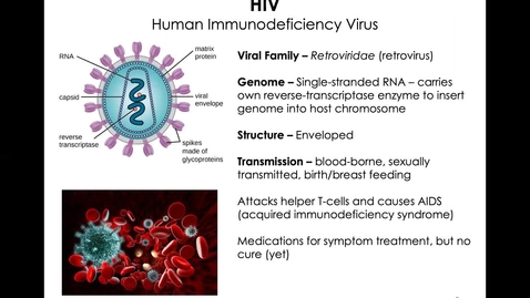 Thumbnail for MICR1153_11-17_HIV_Twing