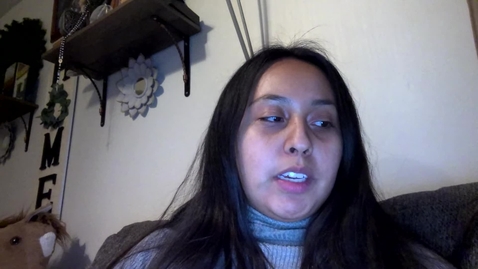 Thumbnail for Video Recording - Thu Feb 06 2025 22:24:05 GMT-0700 (Mountain Standard Time)