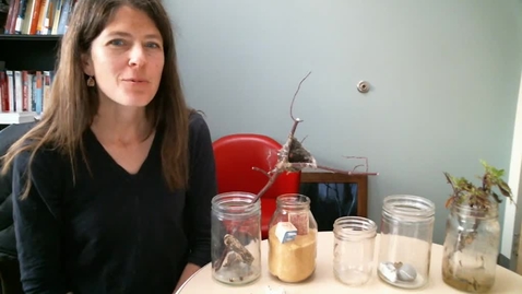 Thumbnail for Line Breaks and Jars
