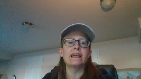 Thumbnail for Video Recording - Sun Feb 12 2023 16:49:51 GMT-0700 (Mountain Standard Time)