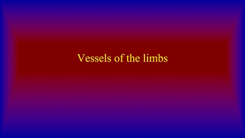 Thumbnail for entry Vessels of the limbs