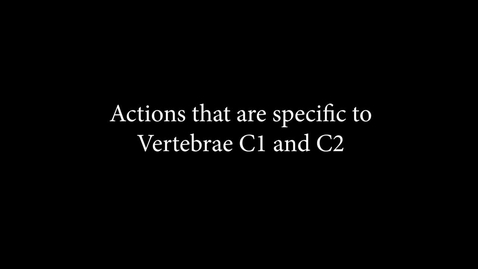 Thumbnail for Actions that are specific to Vertebrae c1 and c2