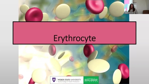 Thumbnail for 4 The Erythrocyte 2025