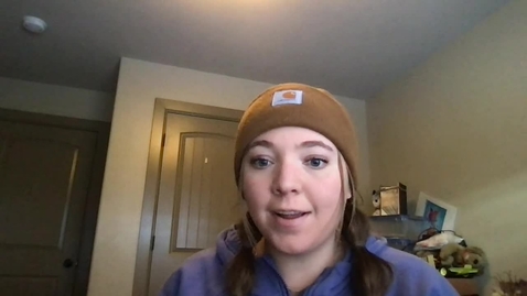 Thumbnail for Video Recording - Tue Mar 05 2024 17:24:25 GMT-0700 (Mountain Standard Time)