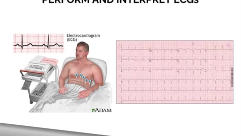 Thumbnail for Scope of Practice Lecture Video: Part #3 - Quiz