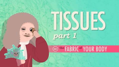 Thumbnail for HTHS 1110 F07-01a: Tissues #1 Intro Video with Questions