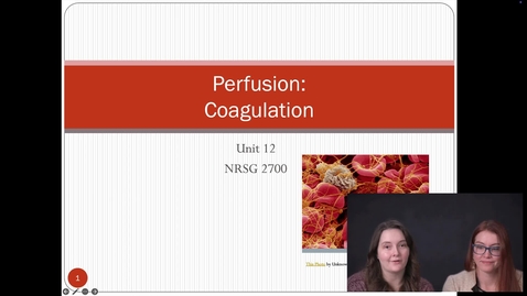 Thumbnail for NRSG2700 Unit 12 Video Lecture