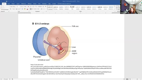 Thumbnail for entry Erythropoiesis and EPO