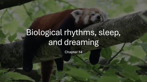 Thumbnail for PSY2710online_sleep3