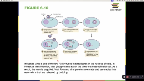 Thumbnail for Chapter 6 Viruses and Prions 1153