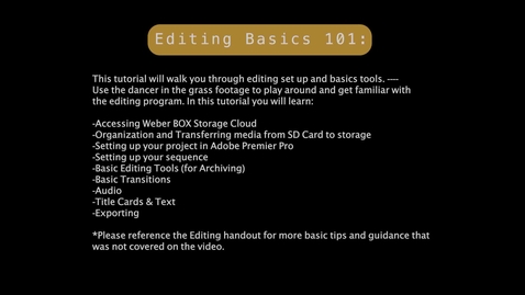 Thumbnail for DDT Editing 101 Tutorial