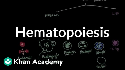 Thumbnail for entry Hematology: Hematopoiesis Video with Questions