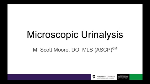 Thumbnail for entry 3314 Microscopic Urnialysis