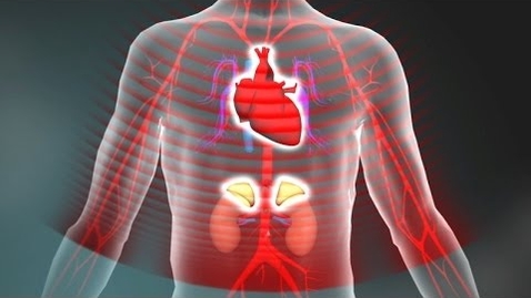 Thumbnail for 3. Toxic Stress Derails Healthy Development