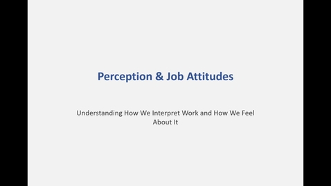 Thumbnail for Perception &amp; Job Attitudes