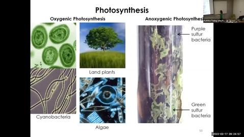Thumbnail for MICR3154_Wk6_AnoxygenicPhotoautotrophy_Chemoautotrophic_Prerecorded2022