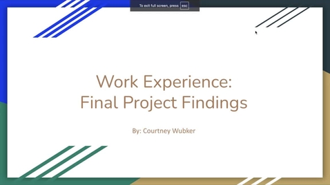 Thumbnail for Work Experience FInal Project Findings
