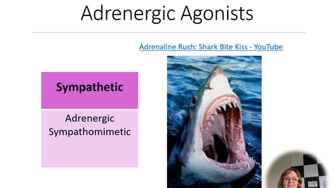Thumbnail for 2100_Unit 4 PowerPoint Section 2 Lecture