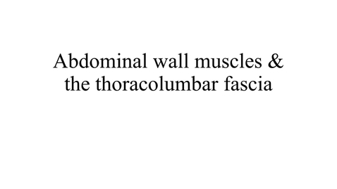 Thumbnail for entry Abdominal wall muscles &amp; the thoracolumbar fascia