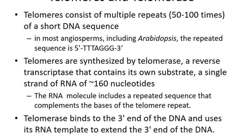 Thumbnail for BTNY3303-DNA_Replication-Sp22