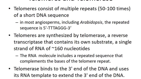 Thumbnail for entry BTNY3303-DNA_Replication-Sp22