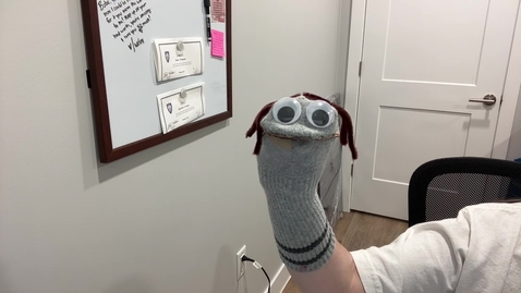 Thumbnail for Sock Puppet