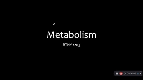 Thumbnail for 09 - Metabolism