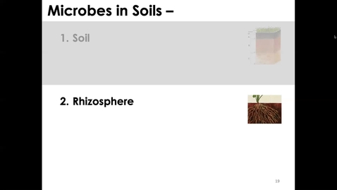 Thumbnail for MICR3154_11-23_Rhizosphere_Twing