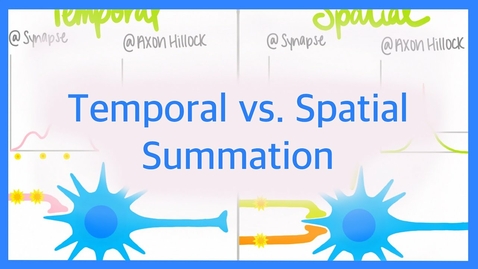 Thumbnail for entry HTHS 1111 F13-10: Temporal vs Spatial Summation Video with Questions