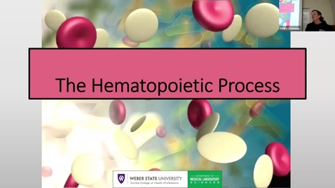 Thumbnail for 3 The Hematopoietic Process 2025