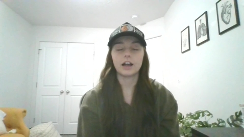 Thumbnail for Video Recording - Sun Feb 09 2025 22:26:22 GMT-0700 (Mountain Standard Time)