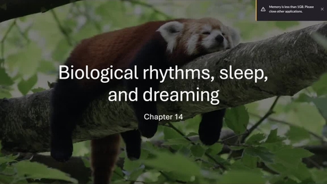 Thumbnail for PSY2710online_sleep1