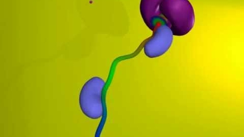 Thumbnail for HTHS 1110 F05-12b: Protein Transport in Mitochondria Video with Questions