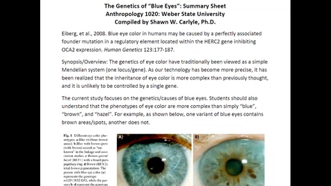 Thumbnail for entry ANTH 1020: Mini-Review #6; The Blue-Eye Allele