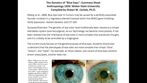 Thumbnail for ANTH 1020: Mini-Review #6; The Blue-Eye Allele