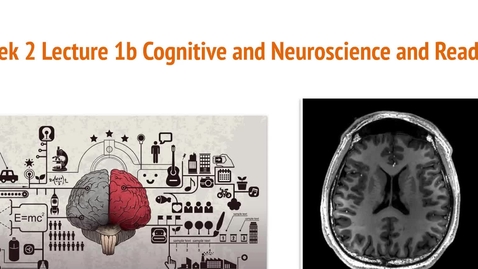 Thumbnail for #2 - 2b Reading and Cognition and Neuroscience - Google Slides - 10 July 2025 (1)