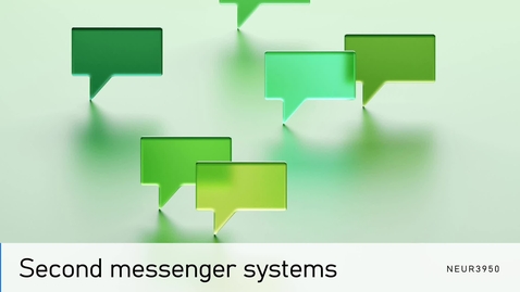 Thumbnail for SP26_NEUR3950_secondmessengers