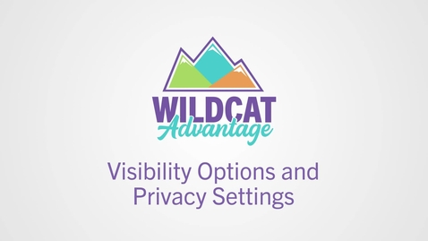 Thumbnail for Visibility Options and Privacy Settings